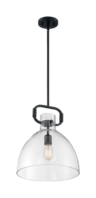 Buy matte-black-with-clear-glass Teresa Pendant by Nuvo Lighting