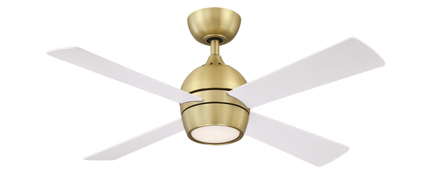 Kwad Ceiling Fan with Light by Fanimation