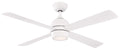 Kwad Ceiling Fan with Light by Fanimation