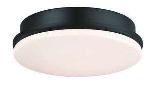 Buy black-with-opal-frosted-glass Kute Outdoor (Damp) Light Kit by Fanimation