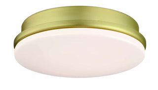 Buy brushed-satin-brass-with-opal-frosted-glass Kute Outdoor (Damp) Light Kit by Fanimation