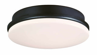 Buy dark-bronze-with-opal-frosted-glass Kute Outdoor (Damp) Light Kit by Fanimation