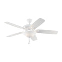 Colony Outdoor (Damp) Ceiling Fan with Light by Generation Lighting