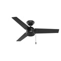 Cassius Outdoor (Damp) Ceiling Fan by Hunter