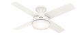 Dempsey Outdoor (Damp) Hugger Ceiling Fan with Light by Hunter