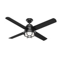 Searow Ceiling Fan with Light by Hunter