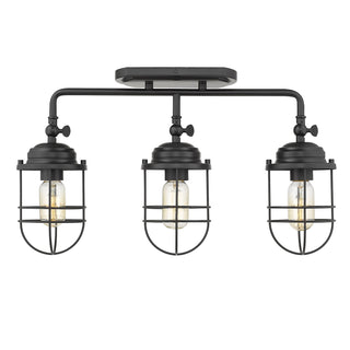 Seaport Outdoor (Damp) Semi-Flush Mount Ceiling Light by Golden