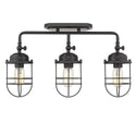 Seaport Outdoor (Damp) Semi Flush Mount Light by Golden