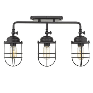 Seaport Outdoor (Damp) Semi Flush Mount Light by Golden