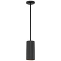 Pilson Outdoor (Damp) Pendant by Access