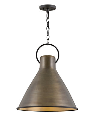 Buy dark-antique-brass Winnie Pendant by Hinkley