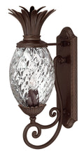 Plantation Outdoor (Wet) Wall Lantern by Hinkley