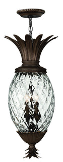 Plantation Outdoor (Damp) Hanging Lantern by Hinkley