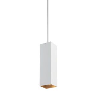 Buy gold-haze-with-metal-shade-glass-and-white-shade Exo Outdoor (Damp) Pendant by Visual Comfort Modern