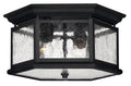 Edgewater Outdoor (Damp) Flush Mount Ceiling Light by Hinkley