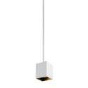 Exo Outdoor (Damp) Pendant by Visual Comfort Modern