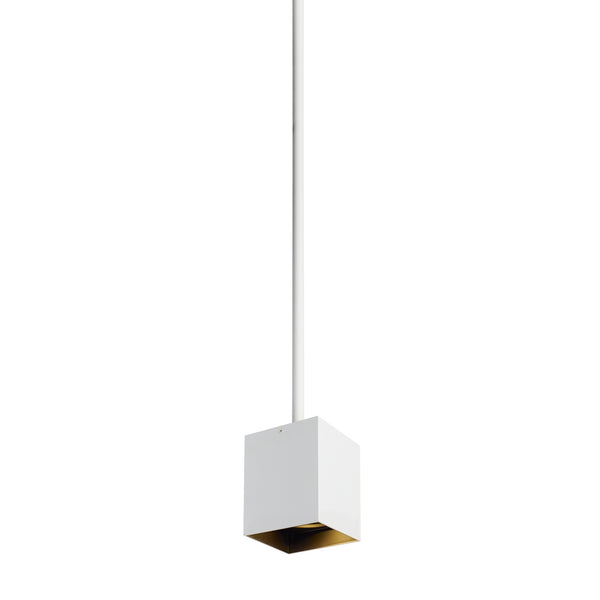 Exo Outdoor (Damp) Pendant by Visual Comfort Modern