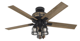 Vista Ceiling Fan with Light by Hunter