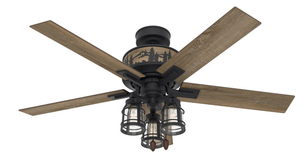 Vista Ceiling Fan with Light by Hunter