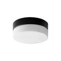 Zuri Outdoor (Damp) Ceiling Light by Quorum