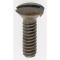 Satco Accessories Steel Switchplate Screw Accessory