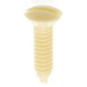 Satco Accessories Plastic Switchplate Screw Accessory