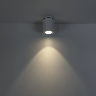 Lotus Flush Mount Ceiling Light by Eurofase