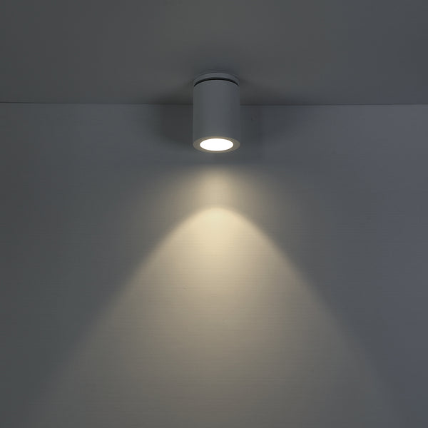 Lotus Flush Mount Ceiling Light by Eurofase