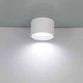 Benton Flush Mount Ceiling Light by Eurofase