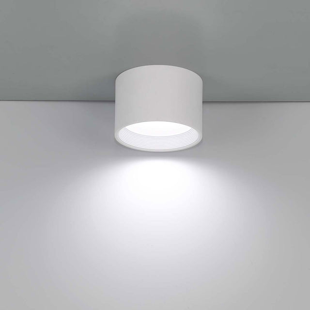 Benton Flush Mount Ceiling Light by Eurofase