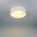 Napoleon Flush Mount Ceiling Light by Eurofase