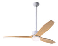 Arbor DC Ceiling Fan by Modern Fan Co