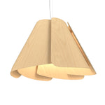 Accord Lighting-1364.34|MAIN