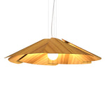 Accord Lighting-1365.12|MAIN