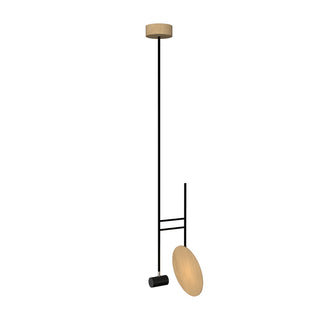 Buy maple Dot Outdoor (Damp) Pendant by Accord Lighting