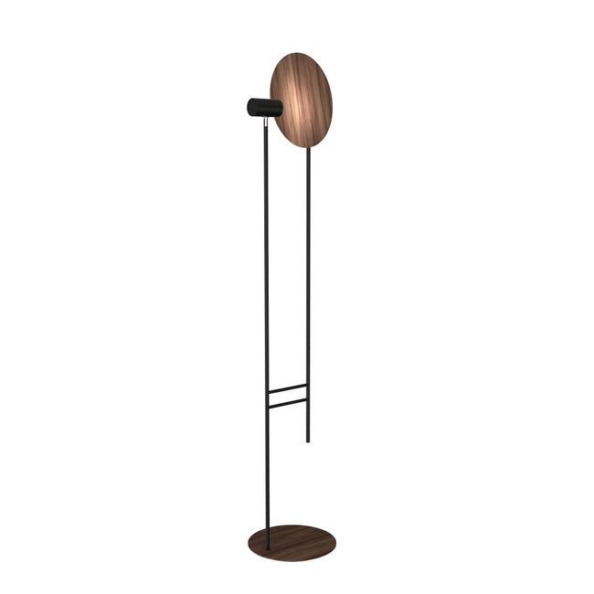 Accord Lighting-3126.18|MAIN