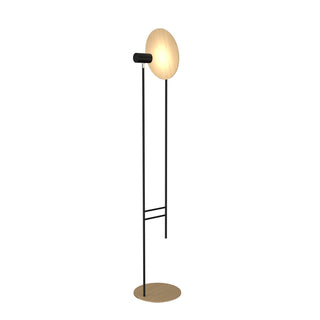 Buy maple Dot Outdoor (Damp) Floor Lamp by Accord Lighting