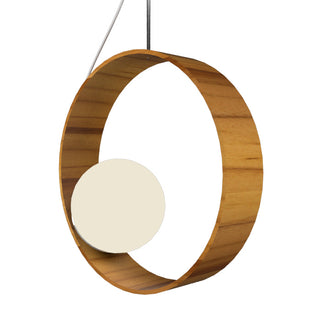 Buy teak-with-frosted-glass-glass-and-opal-shade Sfera Outdoor (Damp) Pendant by Accord Lighting