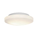 Orion Outdoor (Damp) Flush Mount Ceiling Light by Access