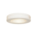 Altum Outdoor (Damp) Flush Mount Ceiling Light by Access