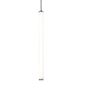 Caden Outdoor (Damp) Pendant by AFX Lighting