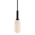 Annex Outdoor (Damp) Pendant by Troy Lighting
