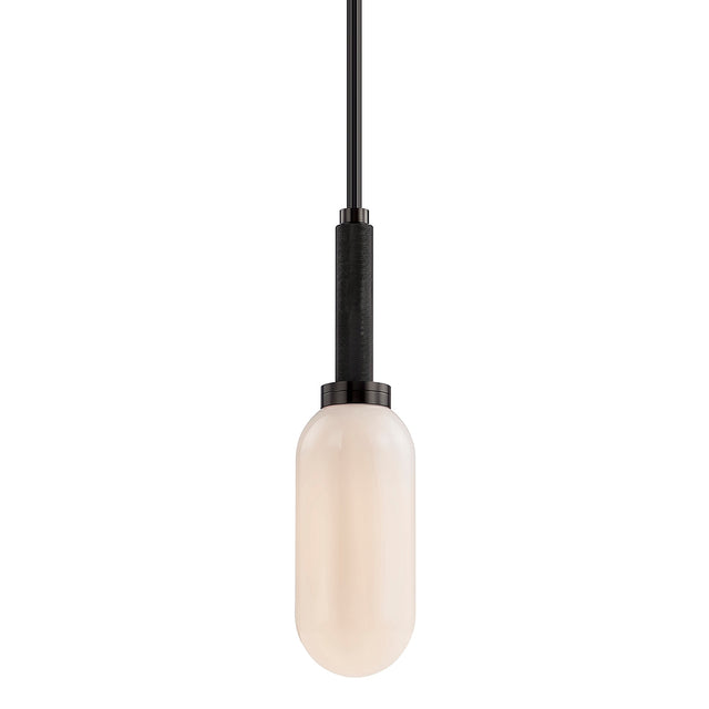 Annex Outdoor (Damp) Pendant by Troy Lighting