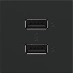 Legrand-ARUSB2AA6G4|ALT|3