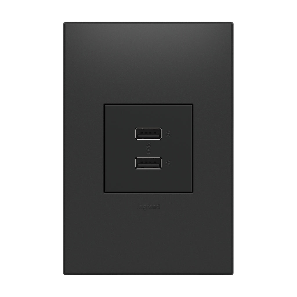 Legrand-ARUSB2AA6G4|ALT|4
