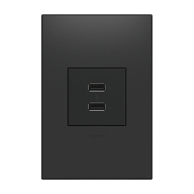 Legrand-ARUSB2AA6G4|ALT|4