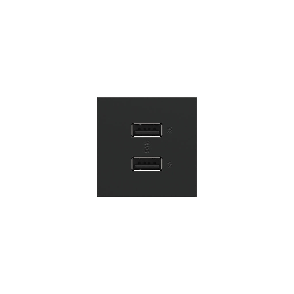 Legrand-ARUSB2AA6G4|ALT|5