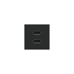Legrand-ARUSB2AA6G4|ALT|5