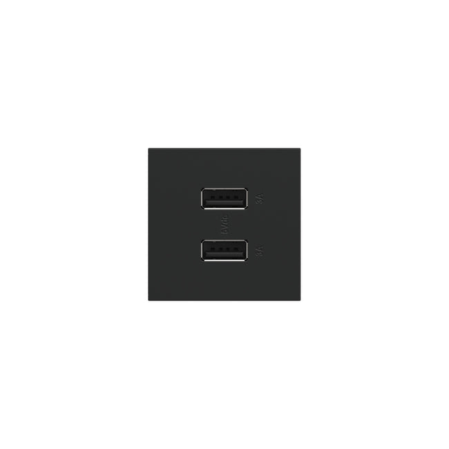 Legrand-ARUSB2AA6G4|ALT|5