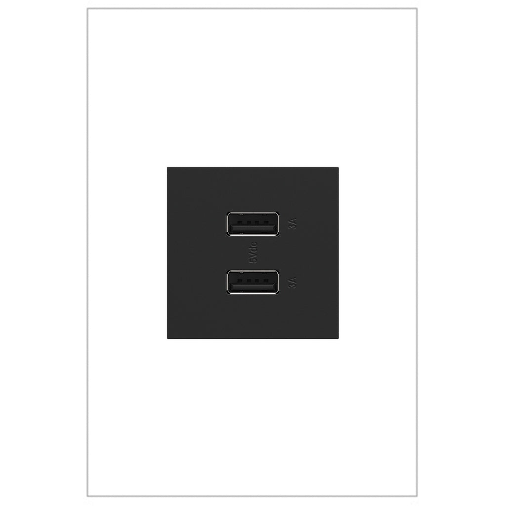 Legrand-ARUSB2AA6G4|MAIN